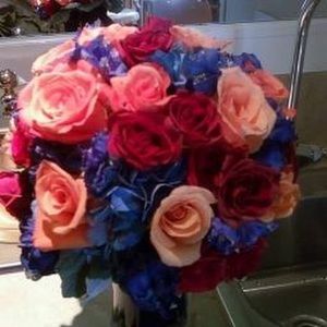 Meet your Posher, Antoinette